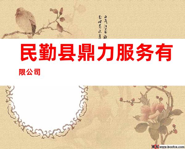 民勤县鼎力服务有限公司